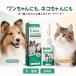 �y�b�g�p �C���[�N���[�i�[ ���L���p 20mL ���p �L�p ���|���N���[�i�[ ���C�E����E�x�^���P�A �j�I�C�΍� �׌��m�Y��  �b��t�̊��߁i20ml/2�{����j �֘A�摜2