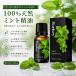 [3 шт. комплект ] мята эфирное масло корпус массаж масло дом SPA уход за телом aroma автобус красота масло растения первоначальный .... аромат натуральный масло 