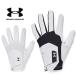  Under Armor Golf перчатка UA ISO-CHILL Golf перчатка левый рука для мужской перчатки UNDER ARMOUR 1370277 [ почтовая отправка рассылка ]