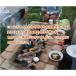 �����K �� ��^ �o�[�x�L���[�R�����p�����i�������j�o�[�x�L���[ �K�[�f�� �A���e�B�[�N�����K ���Y �ωΗ���  ���O�×��� �K�[�f�� �ȒP ���� ������� ���� �֘A�摜1