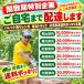 �~�������K �A���e�B�[�N�����K  ���ꃌ���K���F �I�[���h�N���b�V��1�p���b�g ������(�v����)  �����K  ���Y �u���b�N �K�[�f�j���O �� �Ԓd ������� �ωΗ��� �֘A�摜1