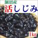  direct delivery from producing area Ibaraki prefecture . marsh hing production corbicula natural ....1kg refrigeration your order gourmet gift . taste .. sake ..