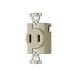 ###ѥʥ˥å WF1230WK󥻥 2P 30A 250V ߥ륭ۥ磻 1