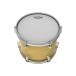 REMO 114BA-JP [Coated Ambassador 14 / Smooth White Film] �֘A�摜1