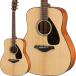 YAMAHA FG800 (Natural)  ޥ