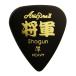 Aria ProII KANJI Pick (����-SYOGUN-) 10�祻�å�
