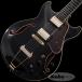 Ibanez Artcore Expressionist AMH90-BK ¨Ǽǽ