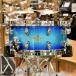 TAMA SMS465T-TWB [Starclassic Maple Snare Drum / 14×6.5][Twilight Blue Burst][Made in Japan]