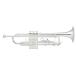 Bach TR-600 SPBb ȥڥåȡ 2024  trumpet fair