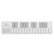 KORG nano KEY 2 [White]