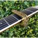 Thalia Capo 24K Gold with Golden Gears on Tiger Eye [ новый specification ]ta задний kapo