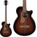 Ibanez AEGB24FE-MHS [SPOT MODEL]