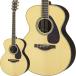 YAMAHA LJ6 ARE (Natural) ޥ