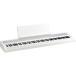 KORG B2+ WHITE* рассылка пункт необходимо . проверка 