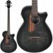 Ibanez AEGB25E-TKH [SPOT MODEL] [ специальная цена ]