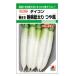 takii вид рассада дайкон вид весна .. выдерживающий болезнь общий futoshi . блеск способ GF( маленький пакет )