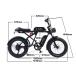 E'KEI F9 �o�b�e���[2�t ��ʌ����@�t���]�� ���y�b�h �t���d���o�C�N 36ah(18Ah/18Ah�o�b�e���[2��)  ���t���n���h���o�[ �[�d��2�� ���t��� 1000W �֘A�摜3