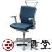 C494GR PB27 | ɥХåϥưɪ ǥ֥롼(᡼ľ)