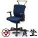 C494ZR FFW4 | ɥХåϥưɪ ֥롼(᡼ľ)