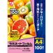�ѓd�h�~���~�l�[�g�t�B�����i100���jA4�i216�~303mm�j �A�C���X�I�[���}