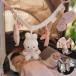 �M�t�g �K�[�����h �Ԃ���� �V���� �������� �~�b�t�B�[ 0�� miffy x Little Dutch �~�b�t�B�[�~���g���_�b�` �X�g���[���[�g�C
