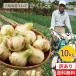  новый шар лук порей есть перевод Awaji Island шар лук порей 10kg. расческа шар [ предварительный заказ ][5 месяц последняя декада примерно .. последовательный отправка предположительно ]#. расческа шар есть перевод 10 kilo #