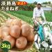  new onion Awaji Island onion 3kg with translation increase amount equipped sphere leek onion new onion new sphere leek new sphere now . farm # with translation onion 3kg[ buy privilege ]# have machine cultivation 