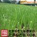 ( предварительный заказ товар ) лук репчатый рассада Awaji Island производство 100шт.@. сырой товар вид 7 сокровищ лук рассада лук репчатый рассада # шар лук порей рассада 100шт.@ 7 сокровищ #