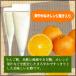 �| ���܂��| 900ml 12�{�Z�b�g �������� �| �h�����N ���ނ��| ���| ���N�| �ʎ��| �|�C���g���� ���� �֘A�摜3