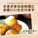 �k�C���Y �\�� ���Y�Ҏw�� ���[�N�C�� 10kg M�`3L�T�C�Y ���Ⴊ�����@�W���K�C���@ �֘A�摜3