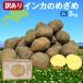 �y�󂠂�z�k�C���\���Y �C���J�̂߂��߁@2L�T�C�Y�@5kg���@�I�̂悤�ȊÂ��@�V�`���[��ϕ��ɍœK�@�M�t�g�ɂ���
