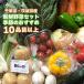  vegetable set 10 item and more direct delivery vegetable fresh .. length Ibaraki prefecture * Chiba prefecture production agriculture house san summer cool flight correspondence 