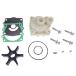 HOLDWELL Water Pump Impeller Kit 61A-W0078-A2-00 61A-W0078-A3-00 18-3396 compatible with Yamaha 2 Stroke Outboards 150HP 150A 175HP 175D 20 ͢
