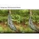 DD�n�����b�N �X���[�u DD Hammock Sleeve DD Hammocks �n�����b�N�p�A�N�Z�T���[ �������� �֘A�摜2