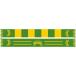  rough neck scarf (Ruffneck Scarves) unisex muffler * scarf * stole Tampa Bay Rowdies Classic Bar Scarf