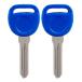 2x New Transponder Ignition Key B111 PT Compatible With & Fits F ¹͢