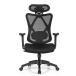 ���¹�͢���ʡ�LUARANE Ergonomic Executive Office Chair, High Back Mesh Home Of