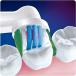 �����i �u���E�� �I�[����B �ւ��u���V �z���C�g�j���O�u���V 4�{ ���K�i EB18-4�@Braun �������� �֘A�摜2