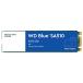 Western Digital 500GB WD Blue SA510 SATA ¢åɥơȥɥ饤 SSD - SATA III 6Gb/s M.2 2280 560MB/s - WDS500G3B0B