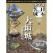  решение версия японский название замок no. 53 номер Огаки замок 