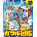 Pocket Monster galaru иллюстрированная книга ( Shogakukan Inc.. цвет широкий )