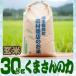 元年産熊本県産米　「くまさんの力」玄米30kg/精米無料