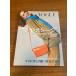 [ журнал VOGUE] изобразительное искусство выпускать фирма Kate * ho g работа 1985 год / Showa 60 год первая версия мой * Vogue MORE DASH THAN CASH