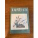 [.. цветок текст ].. фирма 1965 год / Showa 40 год выпуск .. цветок .. запись no. 2 минут шт. . ваза цветок сборник Hasegawa .. сборник . дорога / сырой . цветок 