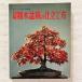  иллюстрация маленький товар . дерево бонсай. покрой person . документ . новый свет фирма сад жизнь 