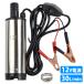  маленький размер водоснабжение насос мощный 80W каждую минуту /30L 12V электрический переключатель трюмная помпа погружной насос уличный кемпинг душ кухня машина 
