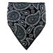 BURN STREET( балка n Street ) бандана BANDANA-BLK PAISLY B15-BD04-O/C9