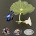  бойцовая рыбка для bed leaf гамак бойцовая рыбка. . пол 