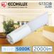 LEDָ LED ָ LED  ľLED 32 G13 LED  ľ ľɷָ 饤 ŷ ľLED ECOHiLUX ꥹ