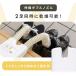 �C�����@ �������@ �C �����@ �V���[�Y�����@ ���� �J�����G SD-C1-WP �A�C���X�I�[���} �V���[�Y�h���C���[ �R���p�N�g �_�u���m�Y�� �z�[�X �֘A�摜5